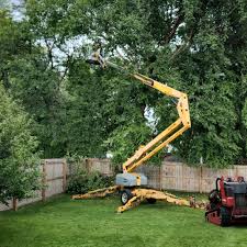 Best Tree Health Inspection  in Lla Lla East, WA